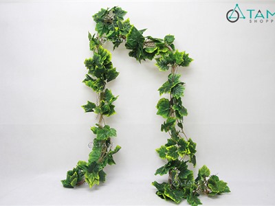 Chùm 5 dây lá nho xanh 270cm F-DAYLA-02